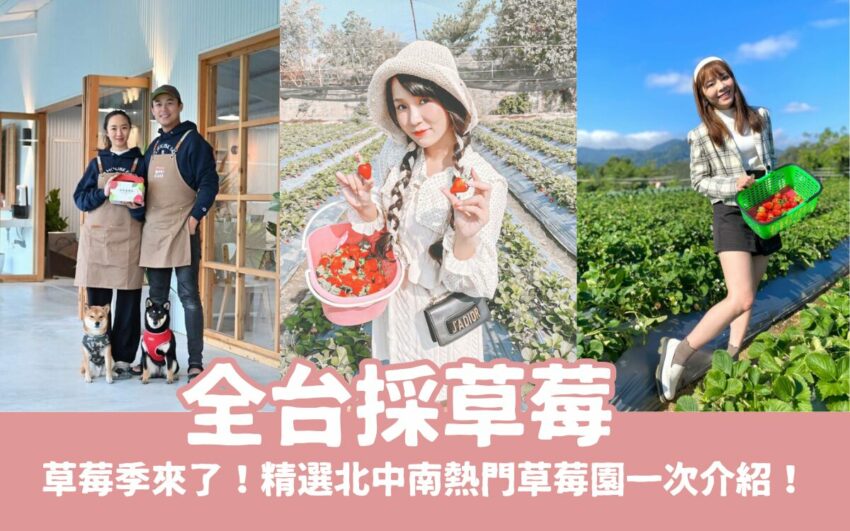 【全台採草莓推薦】每年最期待的草莓季來了!精選北中南熱門草莓園,親手採草莓最有趣!