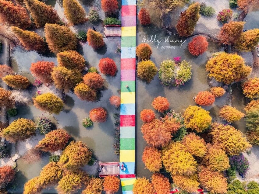 【台中景點推薦】台中一日遊攻略，熱門台中好玩的通通在這裡！台中景點地圖攻略