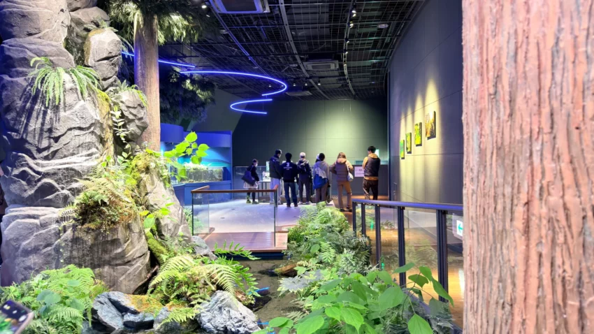 福岡景點【海洋世界海之中道】九州最大水族館！門票交通、必看海豚表演與館內攻略！