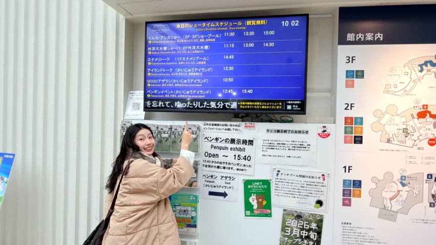 福岡景點【海洋世界海之中道】九州最大水族館！門票交通、必看海豚表演與館內攻略！