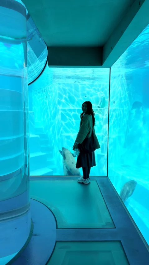 福岡景點【海洋世界海之中道】九州最大水族館！門票交通、必看海豚表演與館內攻略！