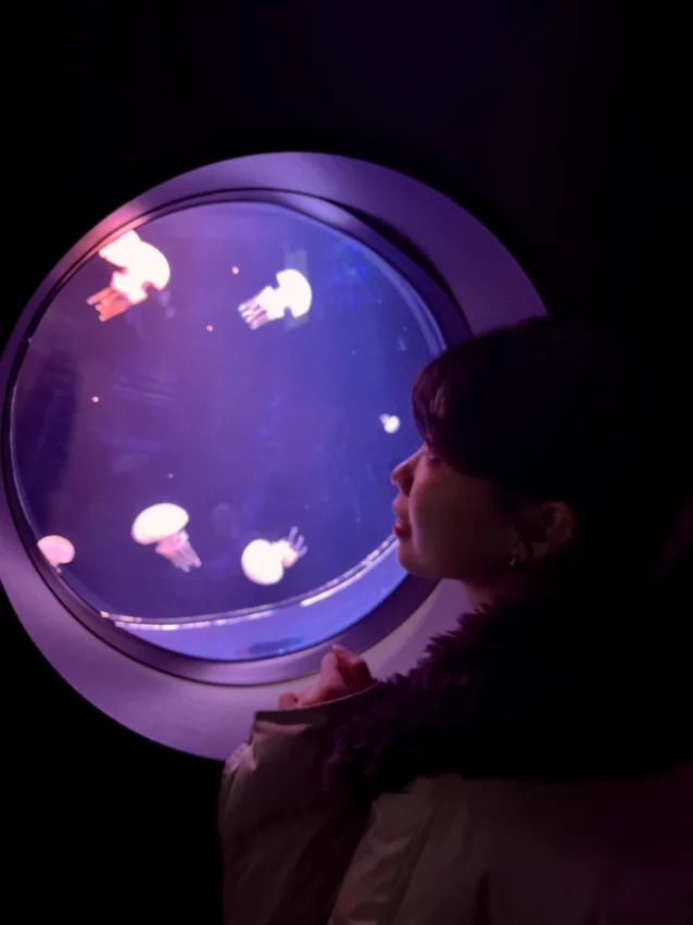 福岡景點【海洋世界海之中道】九州最大水族館！門票交通、必看海豚表演與館內攻略！