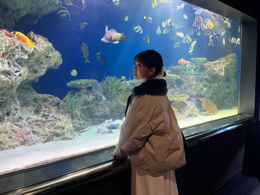 福岡景點【海洋世界海之中道】九州最大水族館！門票交通、必看海豚表演與館內攻略！