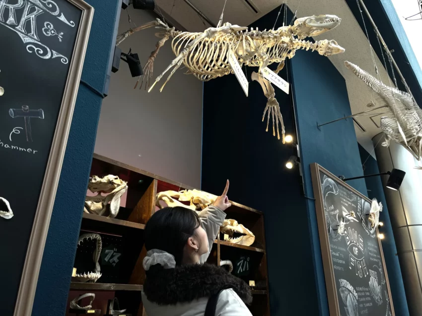 福岡景點【海洋世界海之中道】九州最大水族館！門票交通、必看海豚表演與館內攻略！