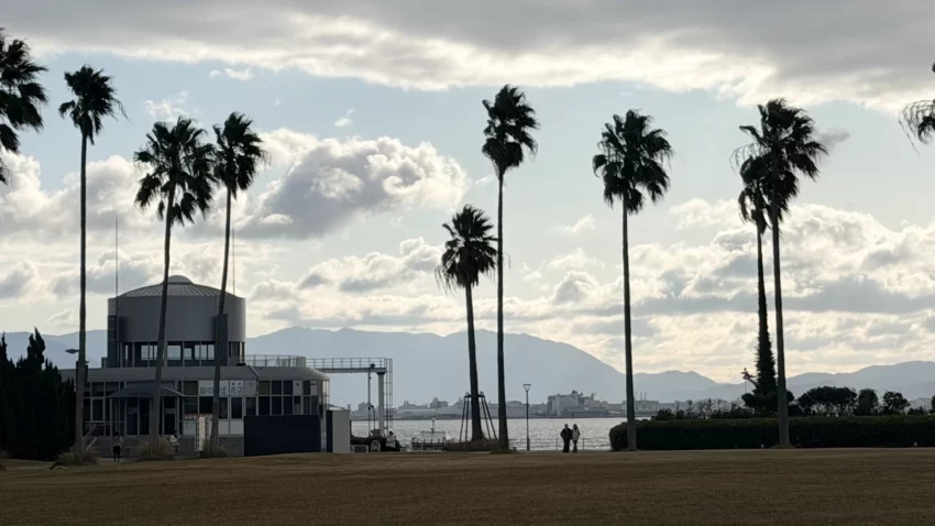 福岡景點【海洋世界海之中道】九州最大水族館！門票交通、必看海豚表演與館內攻略！