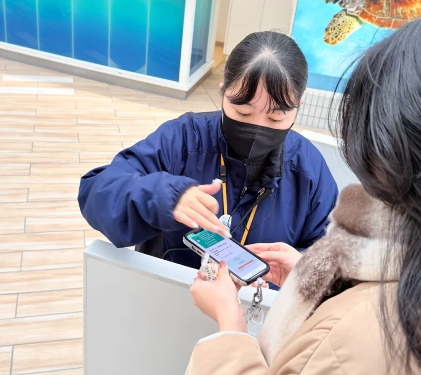 福岡景點【海洋世界海之中道】九州最大水族館！門票交通、必看海豚表演與館內攻略！