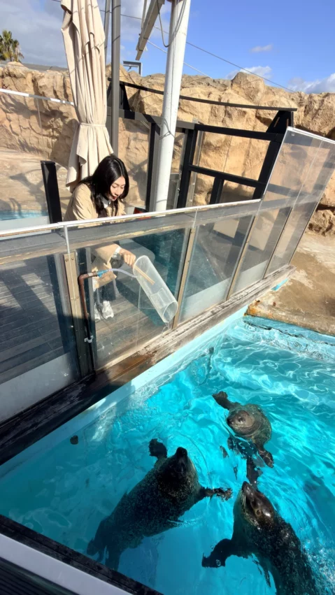 福岡景點【海洋世界海之中道】九州最大水族館！門票交通、必看海豚表演與館內攻略！