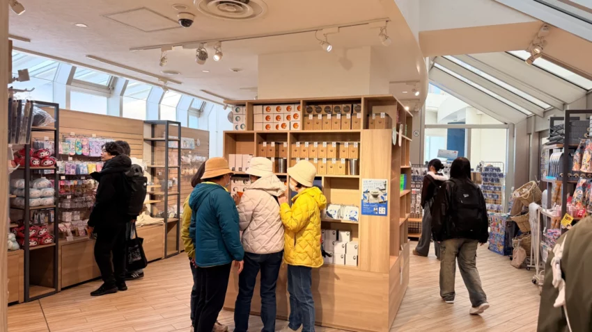 福岡景點【海洋世界海之中道】九州最大水族館！門票交通、必看海豚表演與館內攻略！