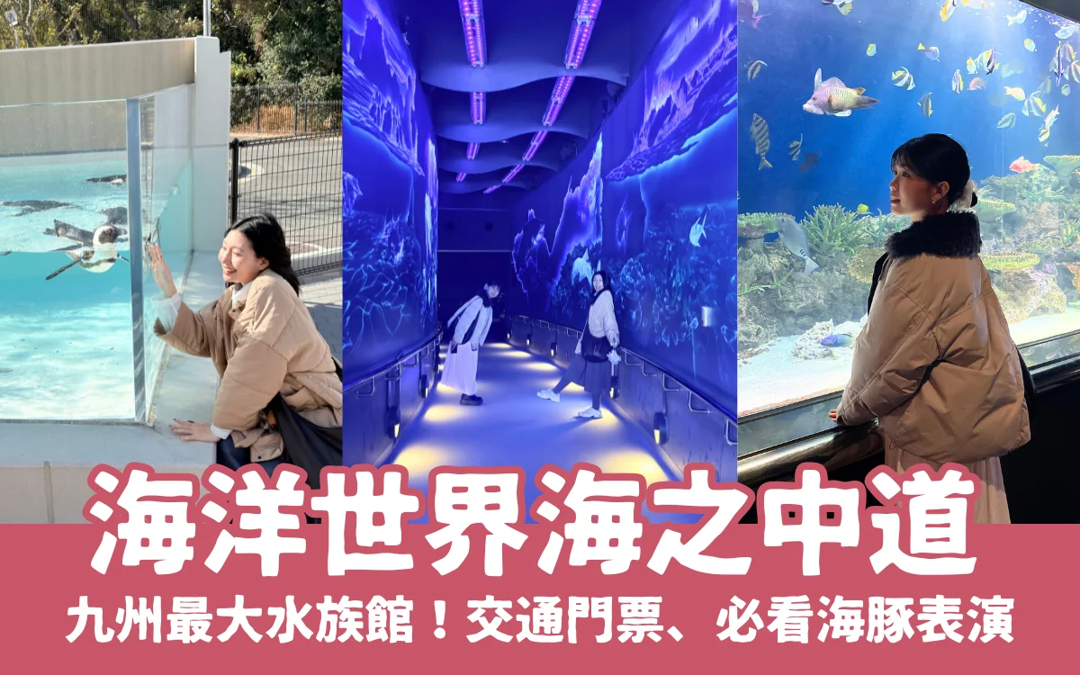 福岡親子景點【海洋世界海之中道】九州最大水族館！門票交通、必看海豚表演與館內攻略！