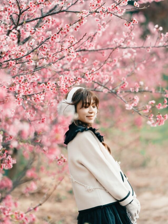 【台灣賞櫻景點】推薦全台超夯賞櫻花景點，春季賞櫻旅遊攻略【櫻花花期/賞櫻路線/交通指南】