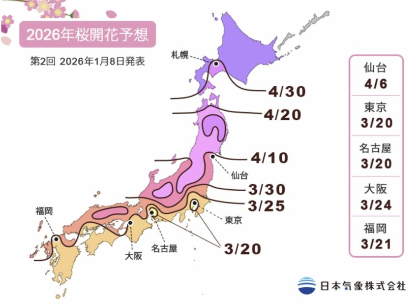 沖繩櫻花 【2026沖繩櫻花】沖繩櫻花季開跑！精選6大賞櫻景點，最新預測出爐＆穿搭懶人包 1 2026