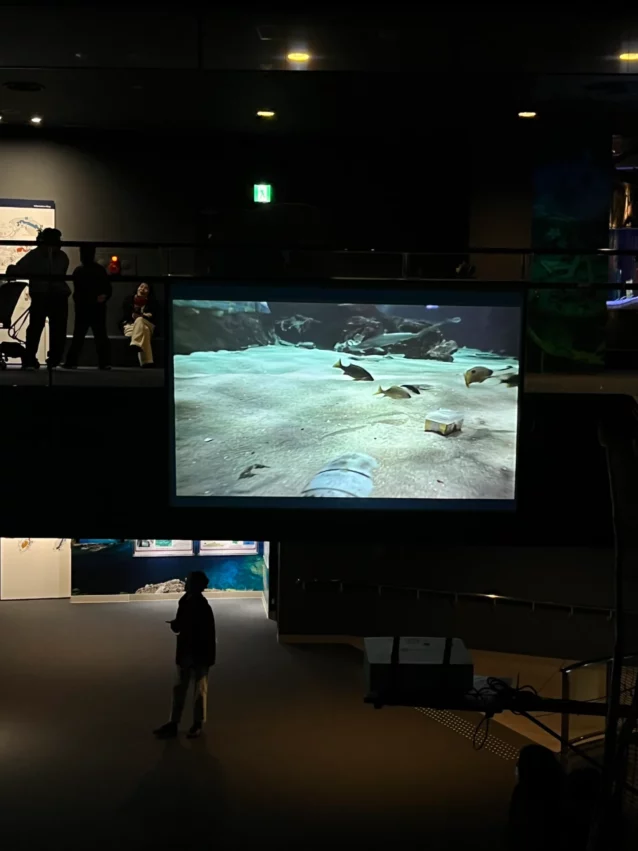 福岡景點【海洋世界海之中道】九州最大水族館！門票交通、必看海豚表演與館內攻略！