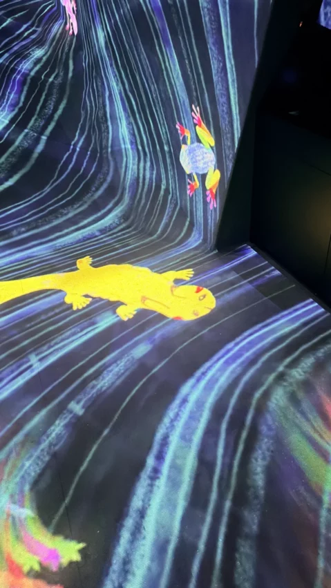 【福岡teamLab】必去的奇幻沉浸式體驗，門票、交通、設施攻略｜福岡必去景點