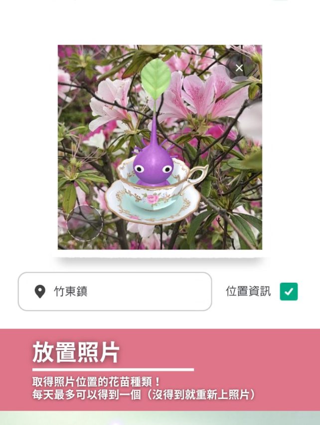 【皮克敏攻略】Pikmin Bloom是什麼？皮克敏新手教學，一起走路種花打蘑菇！
