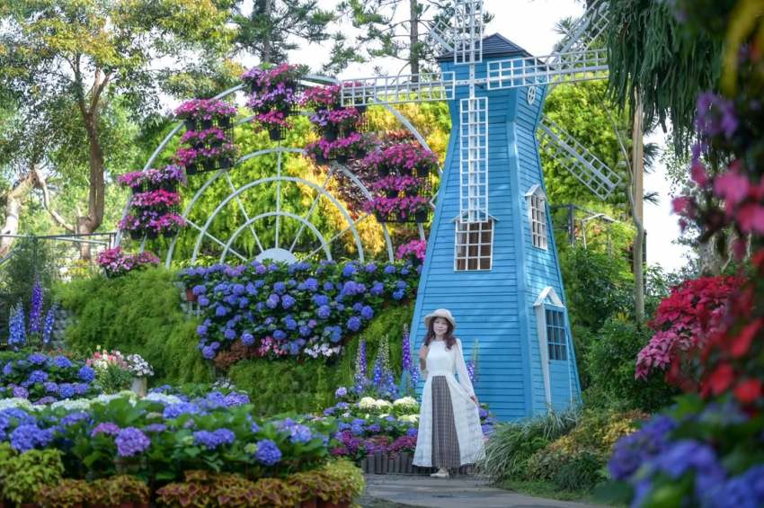 花露農場 2026【花露農場繡球花季】最新門票優惠，全台首座精油博物館，沉浸在四季繽紛花海 1 2026