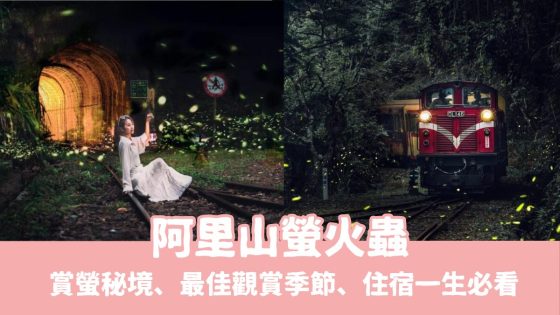 【阿里山螢火蟲】7大阿里山賞螢秘境、最佳觀賞季節、住宿一次看
