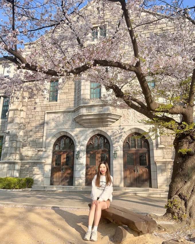 【韓國櫻花季】10個首爾、汝矣島、鎮海、慶州賞櫻花期時間、地點總整理