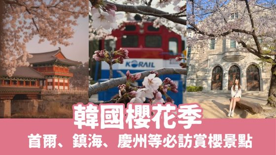 【韓國櫻花季】10個首爾、汝矣島、鎮海、慶州賞櫻花期時間、地點總整理
