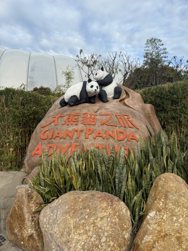 【香港海洋公園攻略】遊樂園必玩設施、交通方式、門票優惠，超好玩的香港親子好去處！