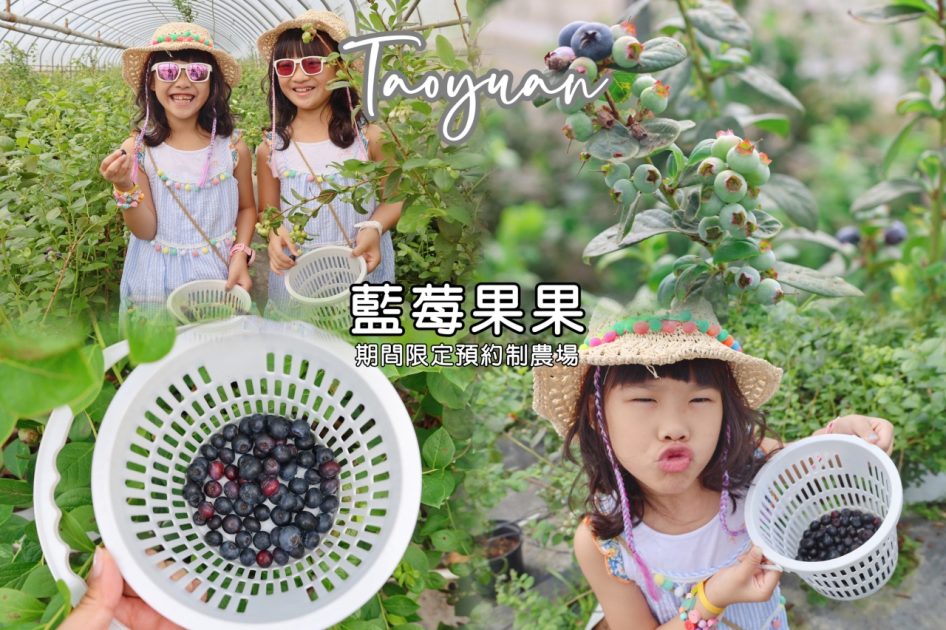 桃園最新親子農場｜北部最大藍莓種植農場，免門票期間限定採藍莓 1 2026