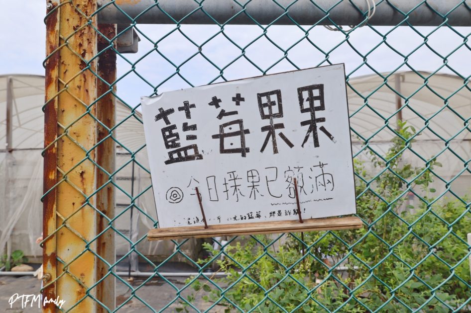 桃園最新親子農場｜北部最大藍莓種植農場，免門票期間限定採藍莓 5 2026