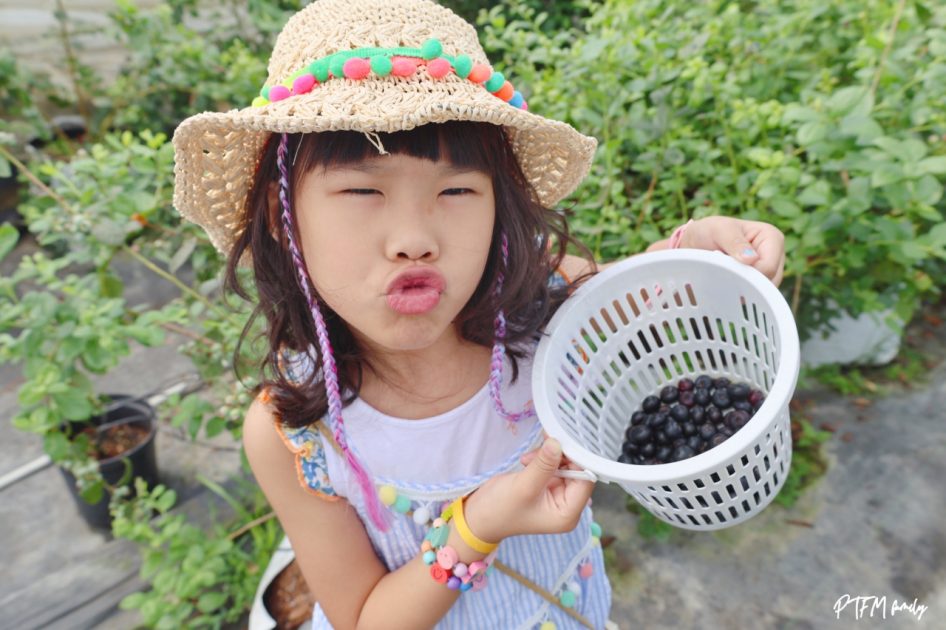桃園最新親子農場｜北部最大藍莓種植農場，免門票期間限定採藍莓 2 2026