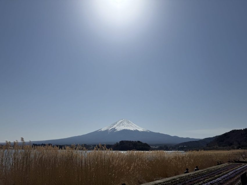 【河口湖景點推薦】12個必拍富士山打卡點、交通建議、一日遊行程攻略 【河口湖景點推薦】12個必拍富士山打卡點、交通建議、一日遊行程攻略