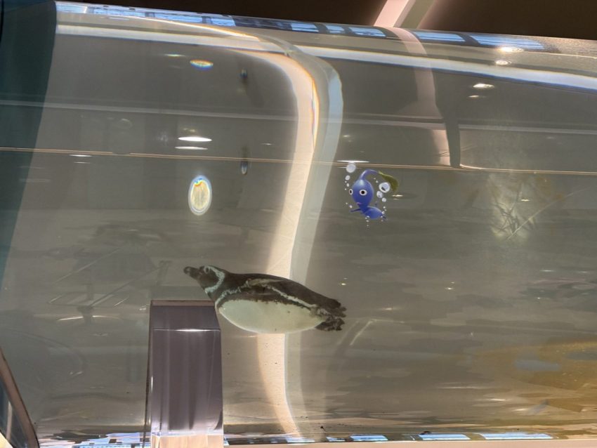 Xpark海洋生物互動展 《動物森友會》Xpark海洋生物互動展現場開箱！活動套票/限定任務/聯名周邊/隱藏珊瑚皮克敏遊玩攻略 20 2026