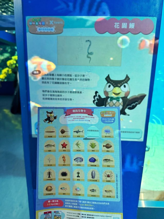 Xpark海洋生物互動展 《動物森友會》Xpark海洋生物互動展現場開箱！活動套票/限定任務/聯名周邊/隱藏珊瑚皮克敏遊玩攻略 4 2026