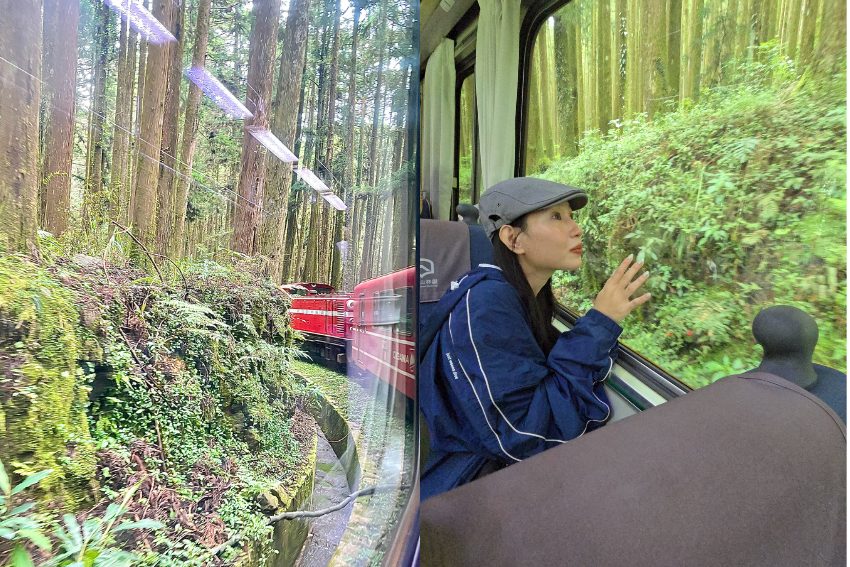 阿里山林鐵 【阿里山林鐵】兩天一夜不開車攻略！祝山日出、奮起湖老街、森林鐵路慢活行 59 2026
